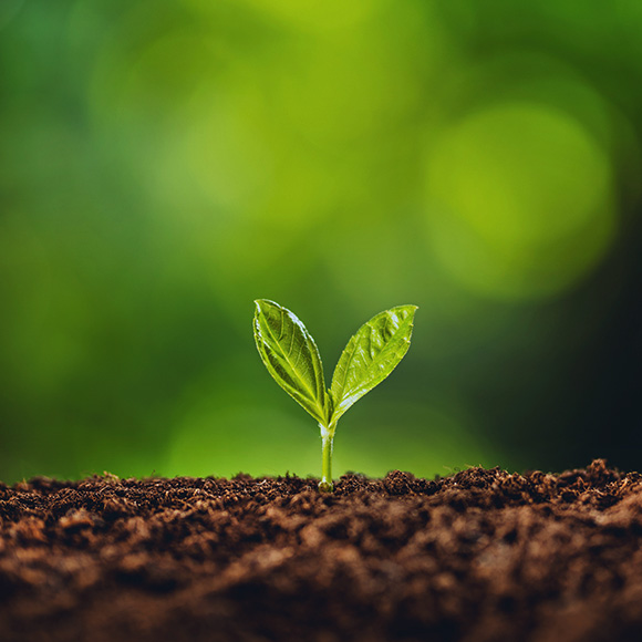 천만장학생은 장학회의 숭고한 뜻을 이어받아 나눔의 가치를 이어갑니다. 